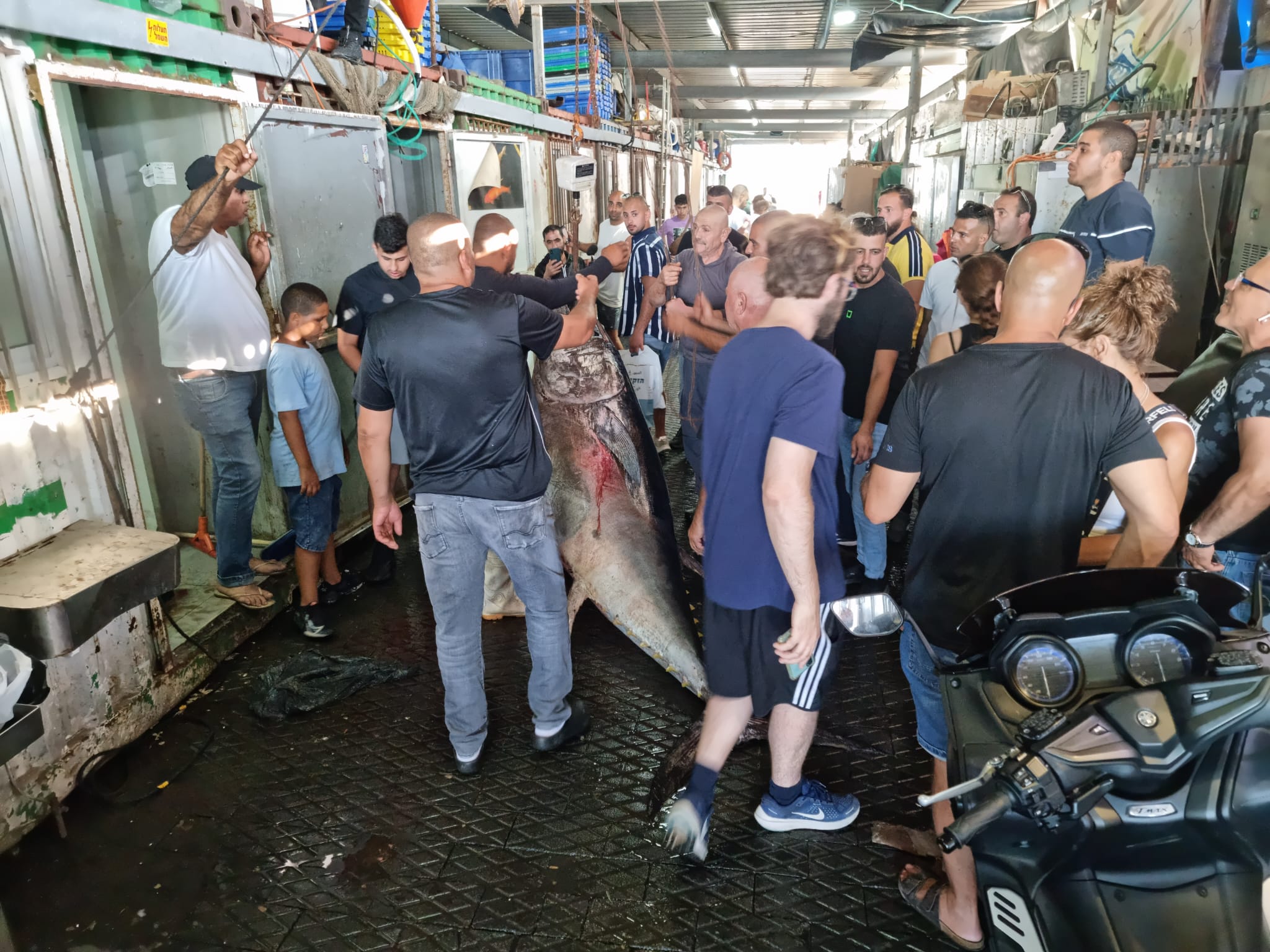 WhatsApp Image 2022-06-10 at 5.53.58 PM (1).jpeg